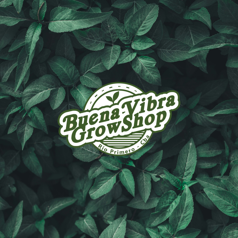 Buena Vibra – Growshop